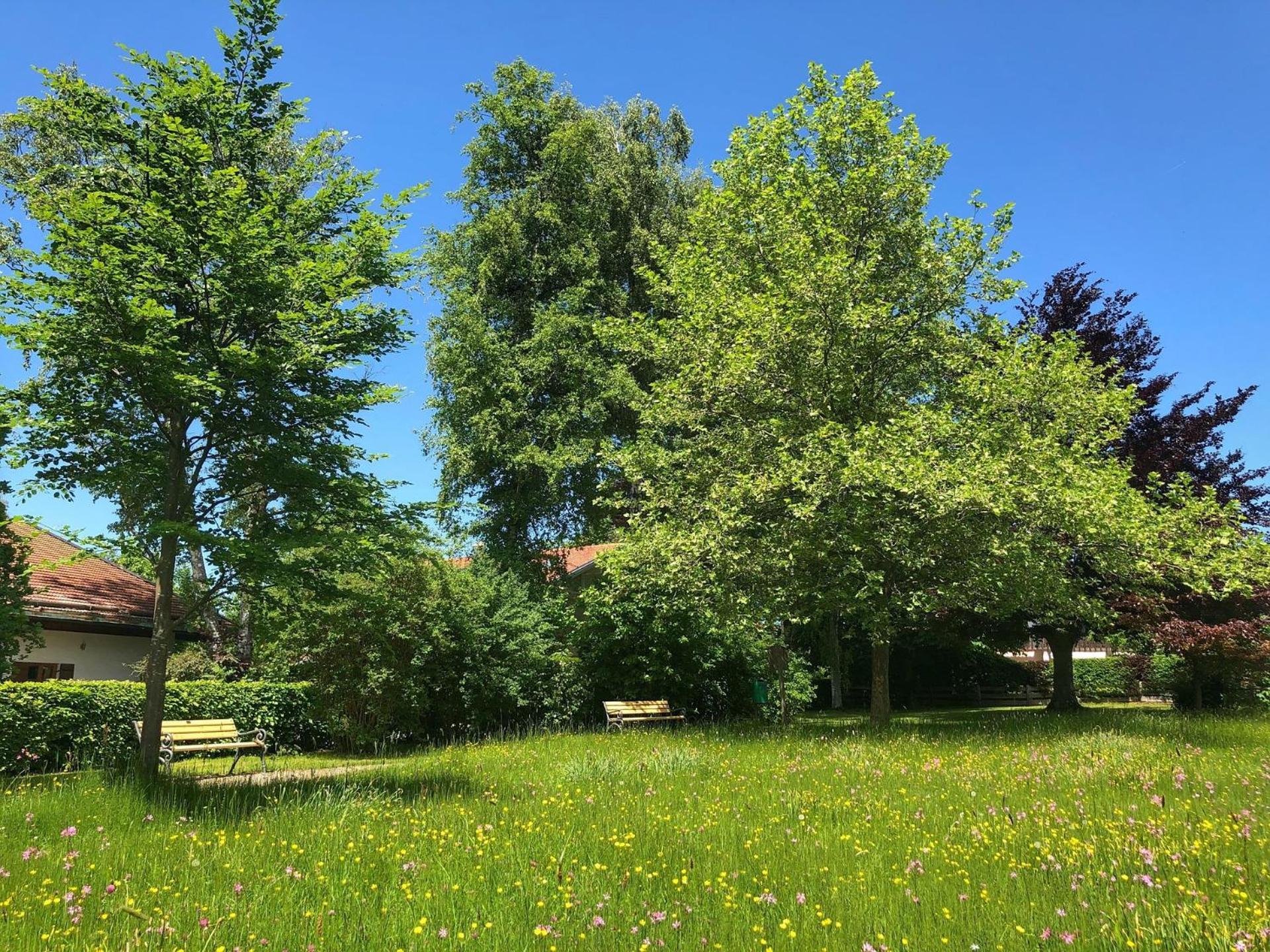 Vronis Ferienwohnungen Muhlingen エクステリア 写真